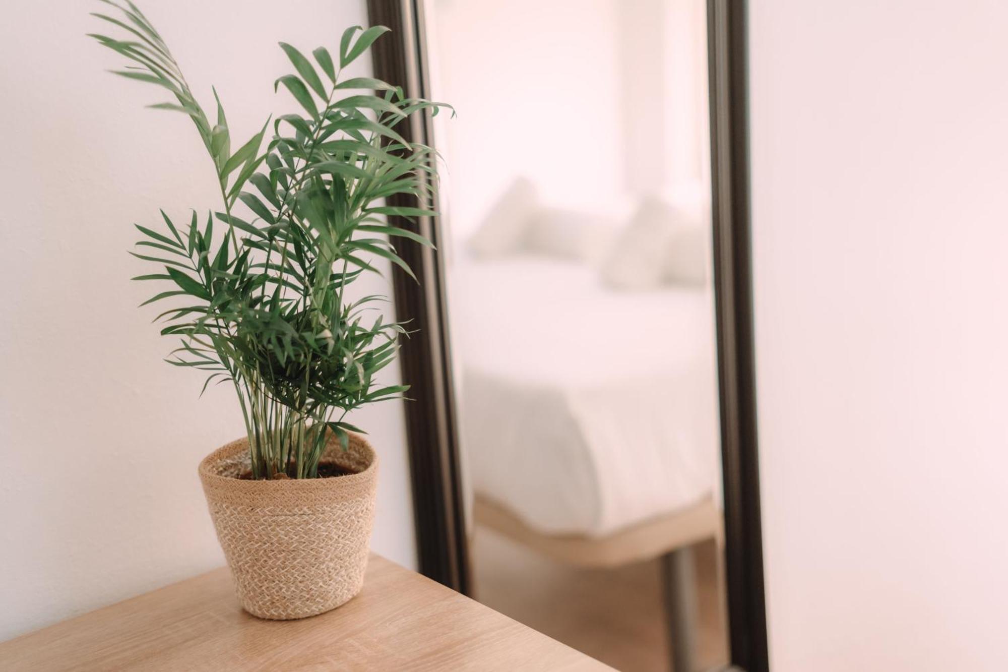 Concept Rooms Валенсия Экстерьер фото